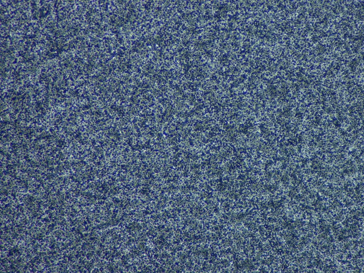 фото Набор для заточки TSPROF Профиль К03 Pro Hunter, 2026 на ytprof.ru